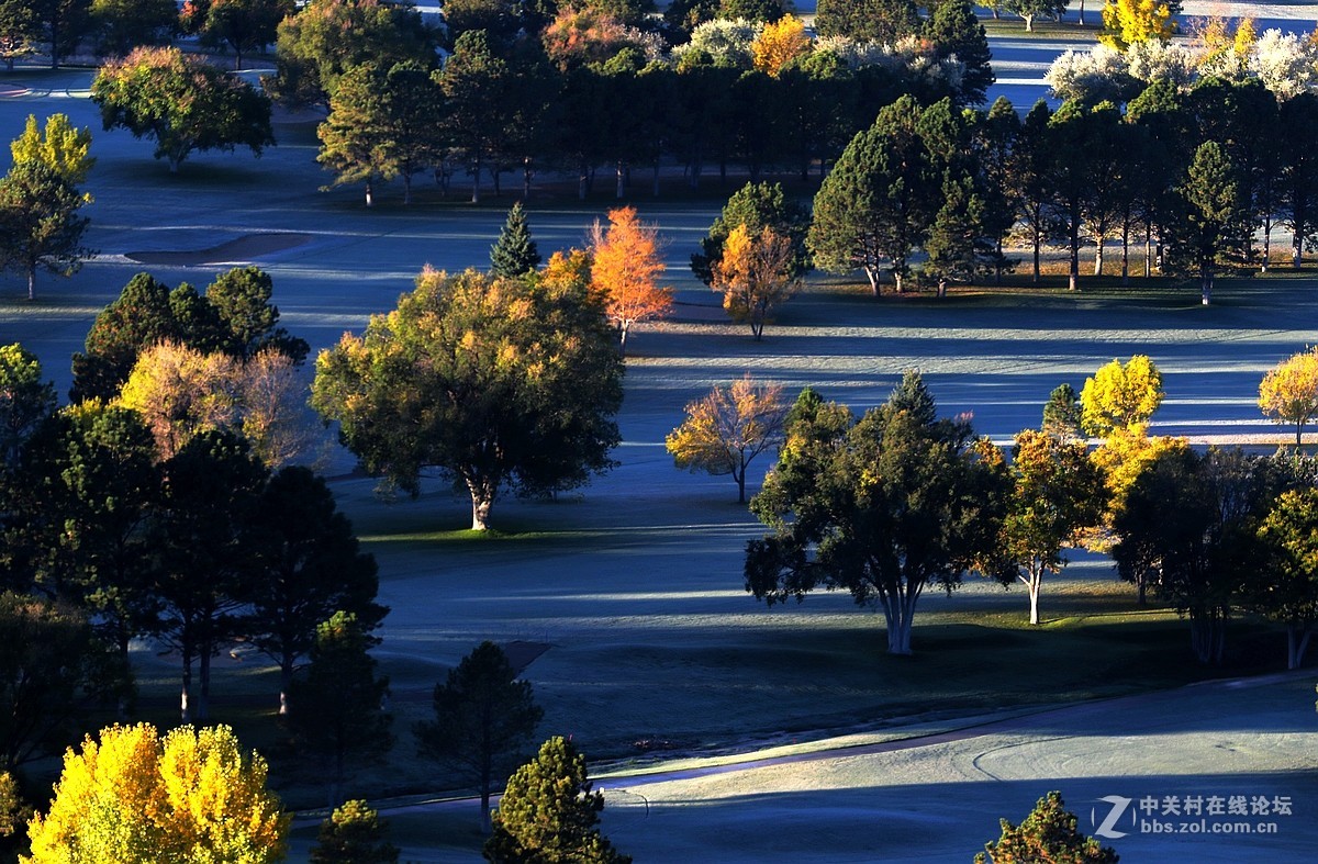 光影送福      新春吉祥