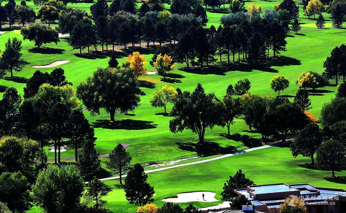 光影送福      新春吉祥