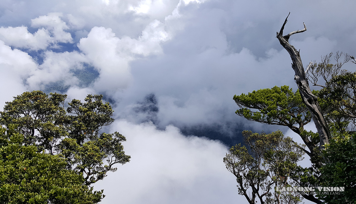 五指山上好风光