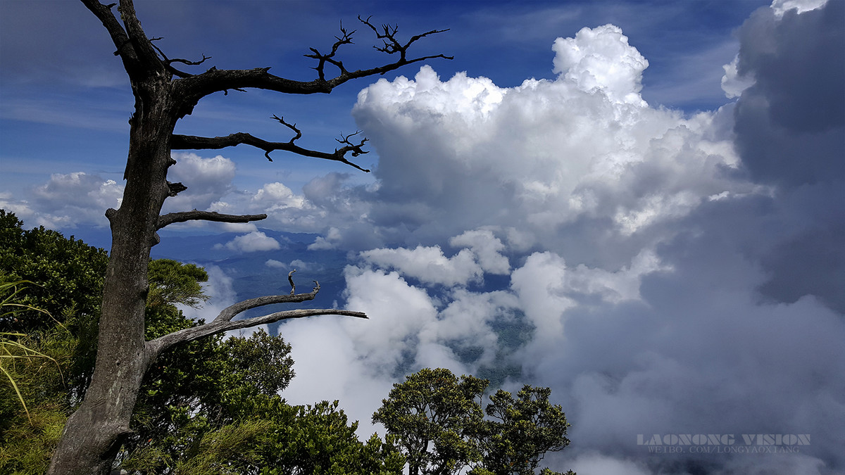 五指山上好风光