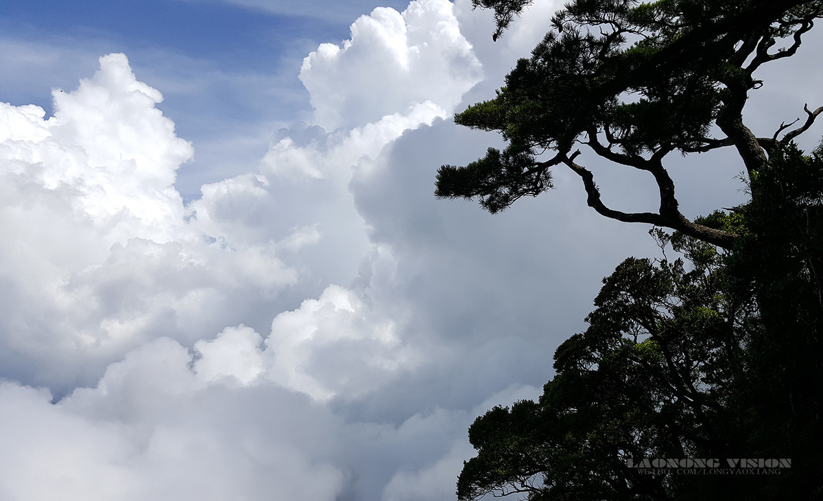 五指山上好风光