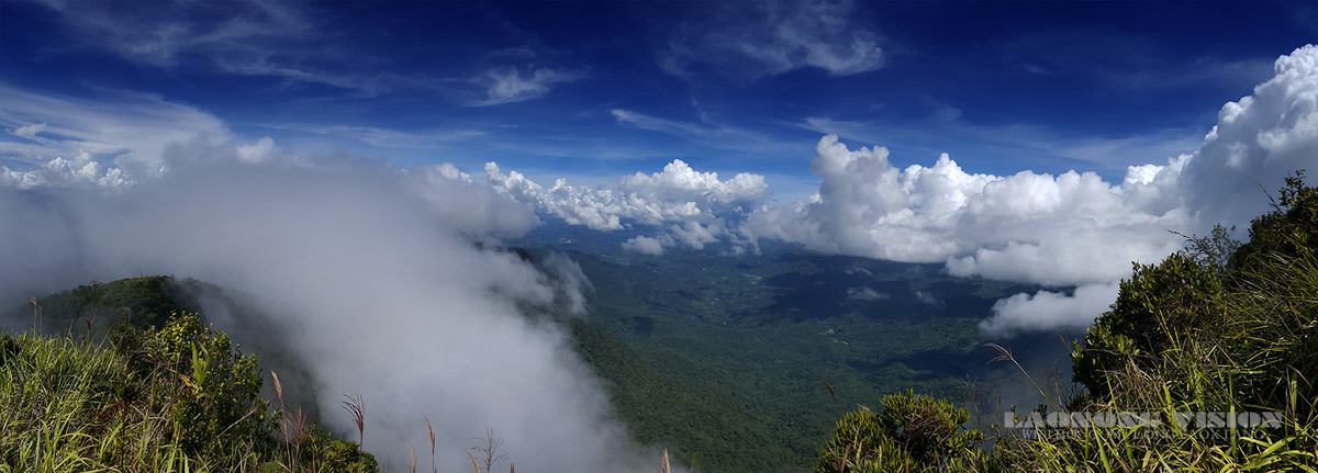 五指山上好风光