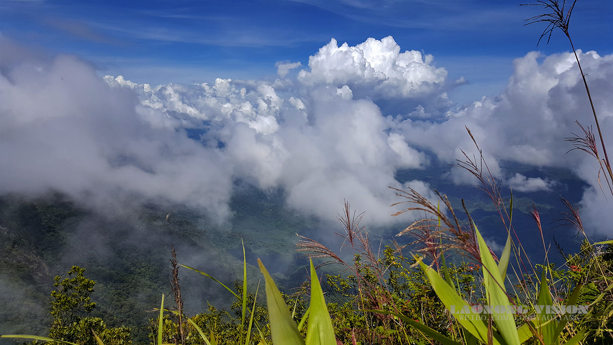 五指山上好风光