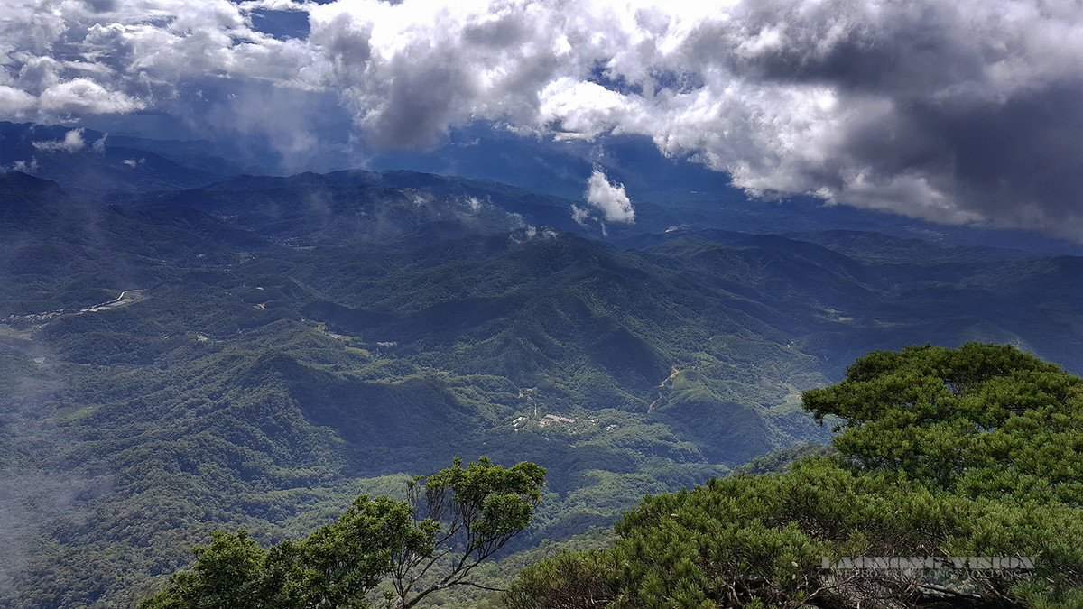 五指山上好风光