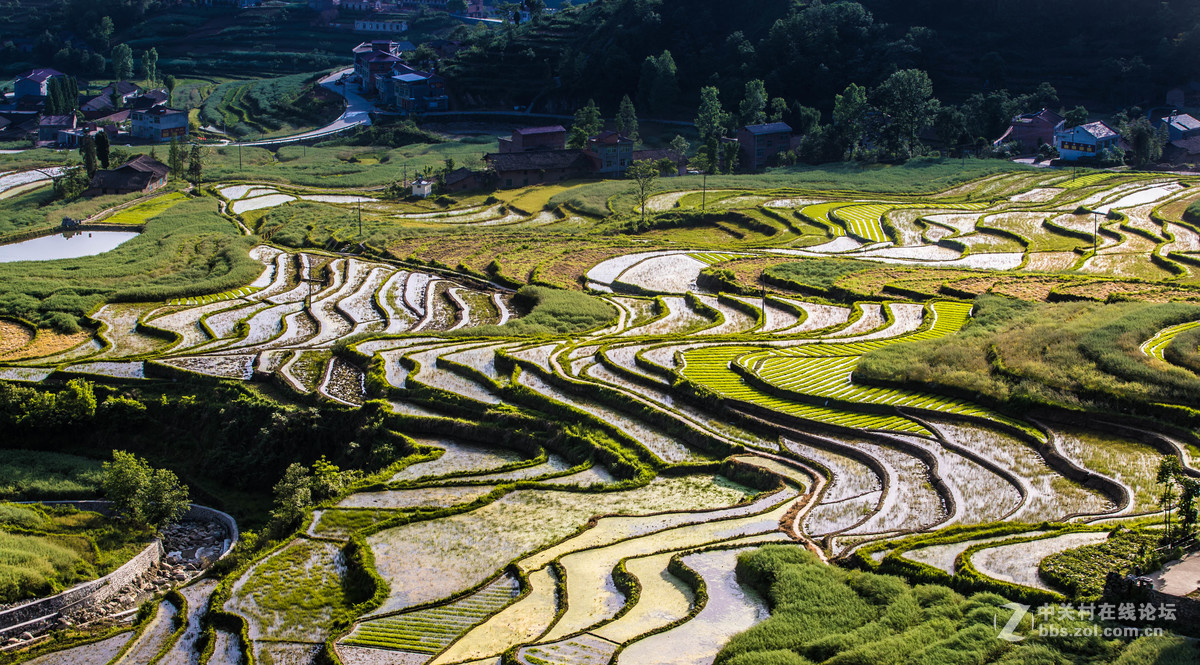 高田如楼梯,平田如棋局.-中关村在线摄影论坛