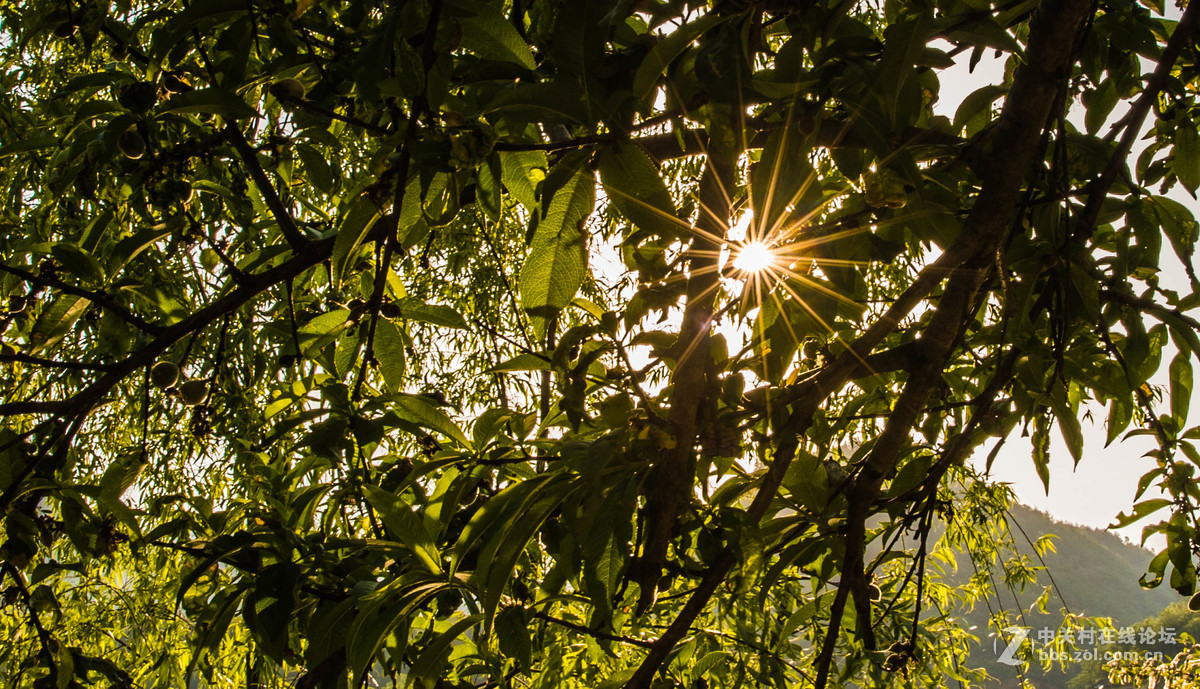 高田如楼梯平田如棋局
