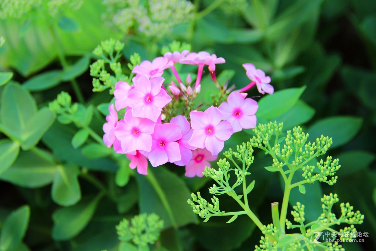 #佳能EOS M6-定格光影# 暑期八达岭一游