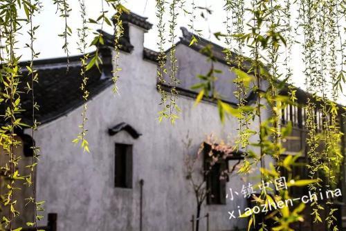 古镇那么多，荡口最江南