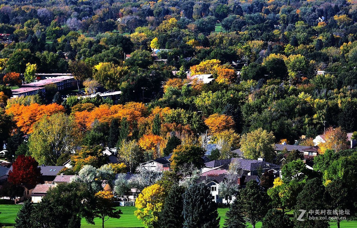 光影送福      新春吉祥