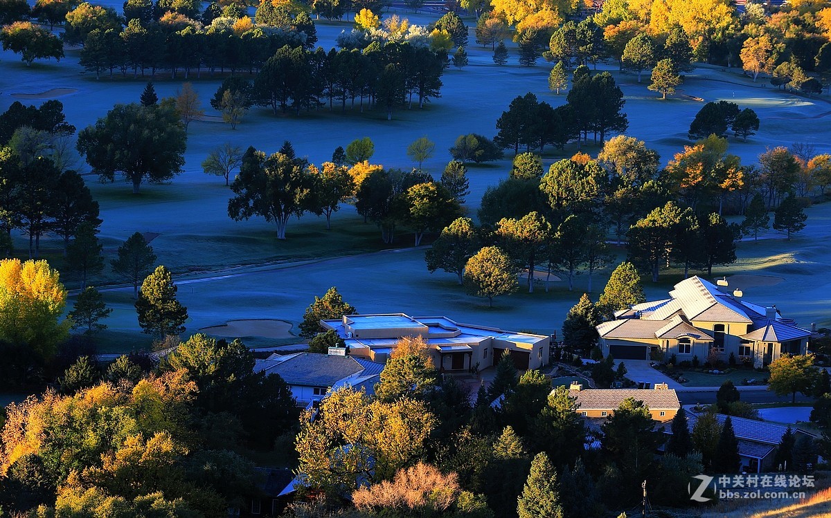 光影送福      新春吉祥