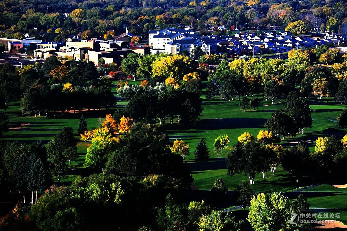 光影送福      新春吉祥