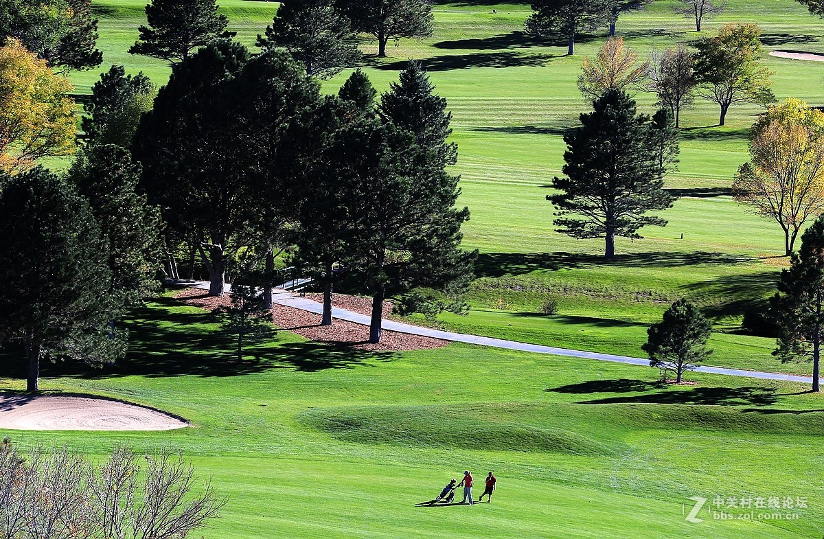 光影送福      新春吉祥
