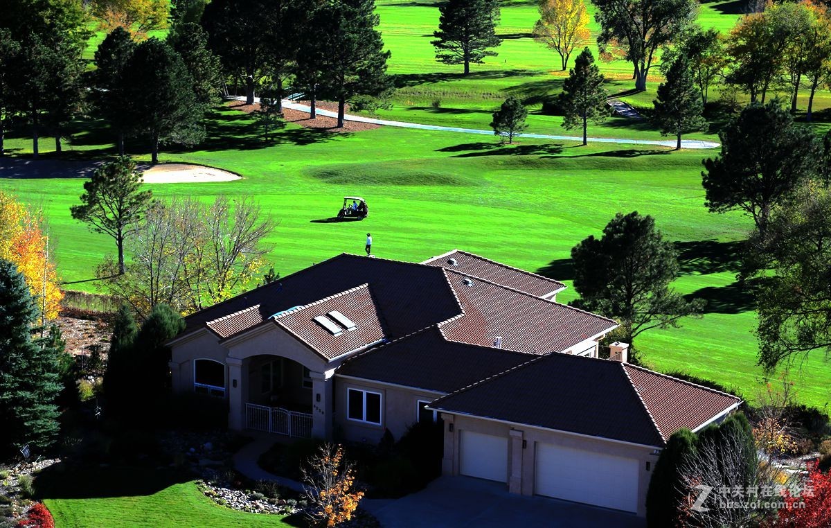 光影送福      新春吉祥