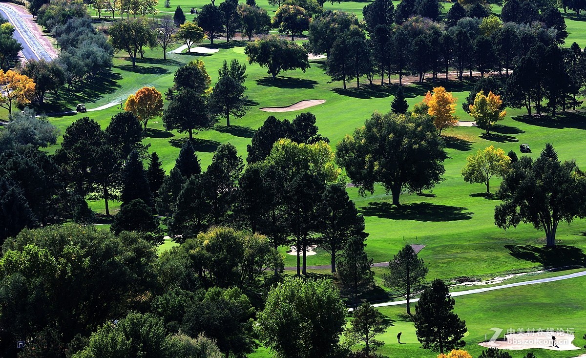 光影送福      新春吉祥