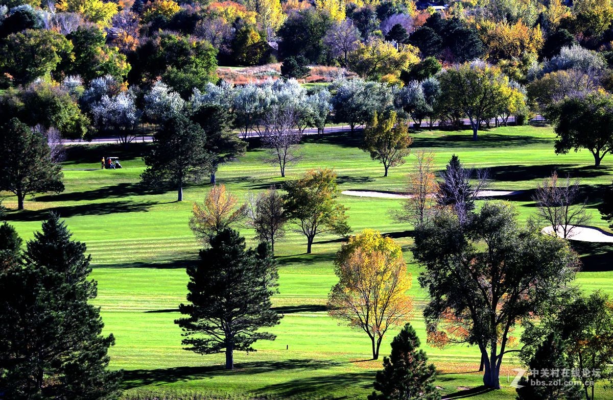 光影送福      新春吉祥