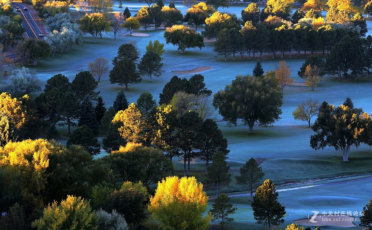 光影送福      新春吉祥