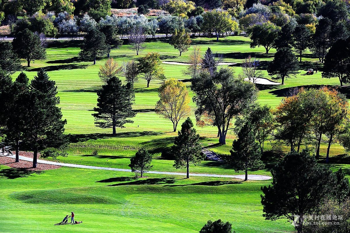 光影送福      新春吉祥