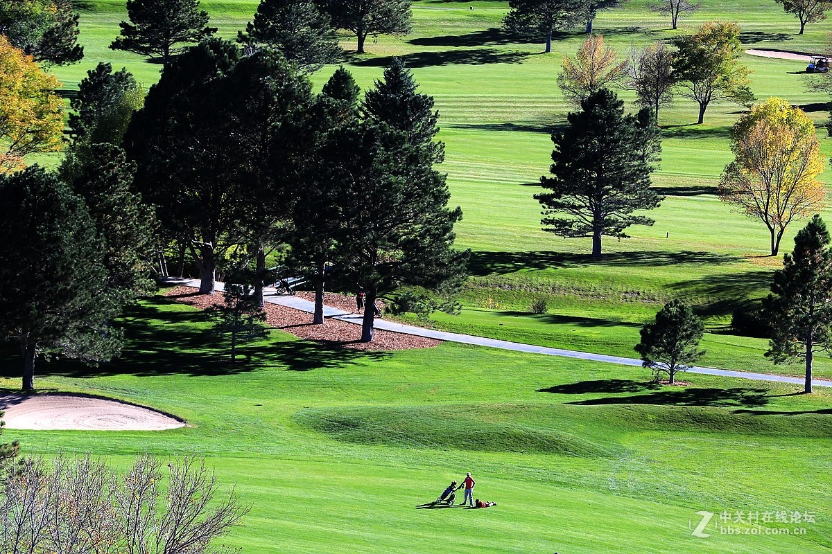 光影送福      新春吉祥