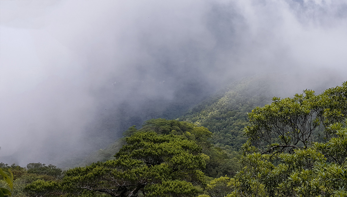 五指山上好风光