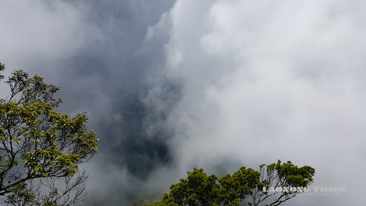 五指山上好风光