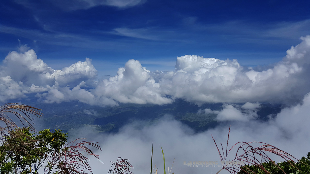 五指山上好风光