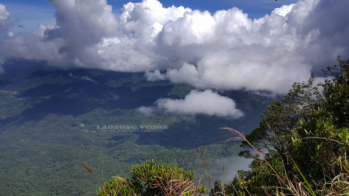 五指山上好风光