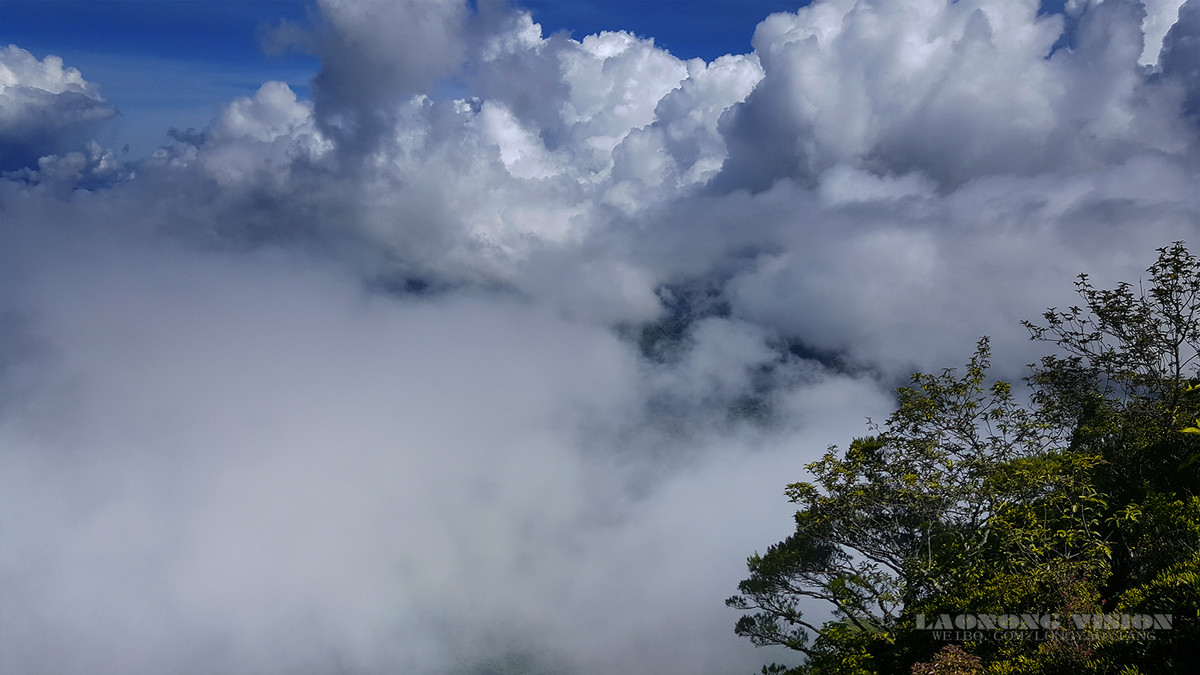 五指山上好风光