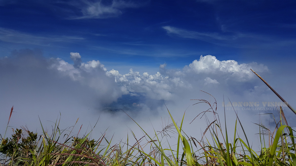 五指山上好风光