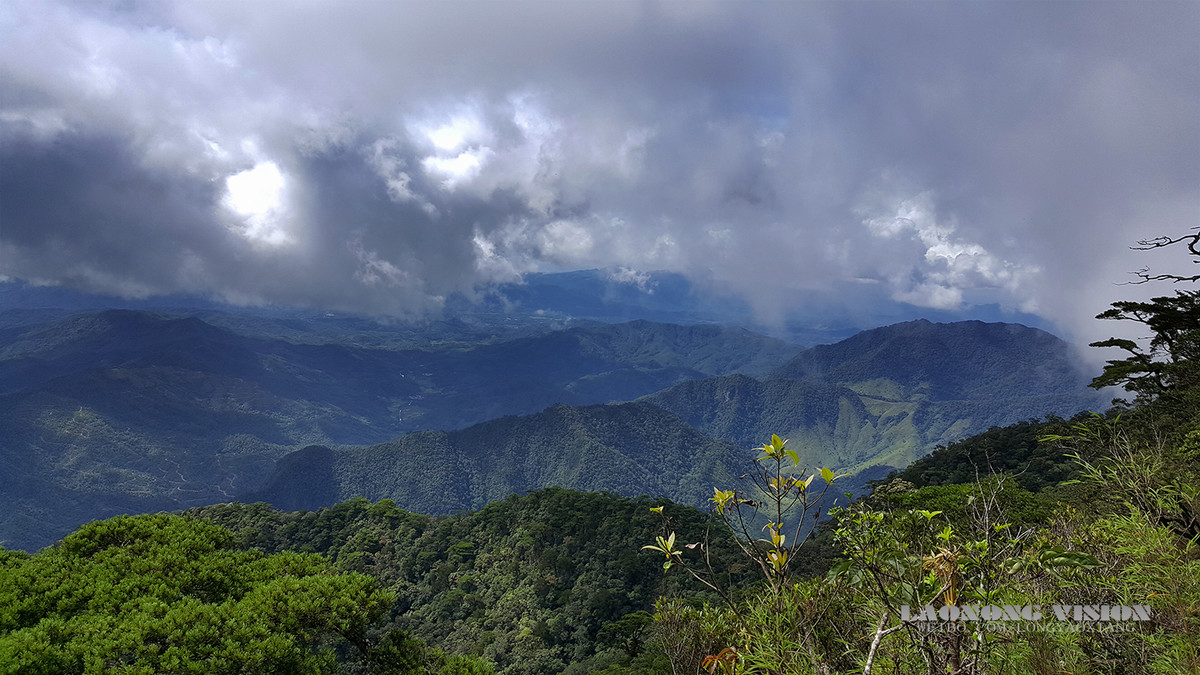 五指山上好风光