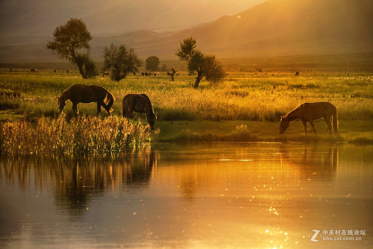 草原上升起了不落的太阳