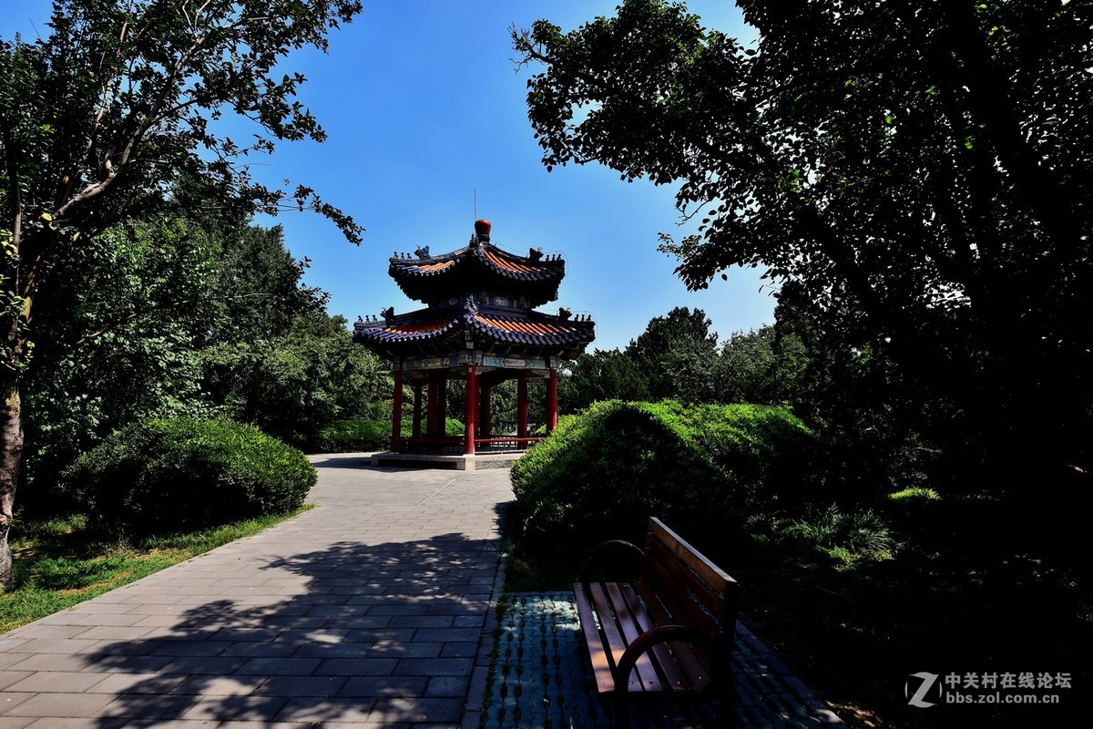 “七夕”公园随拍