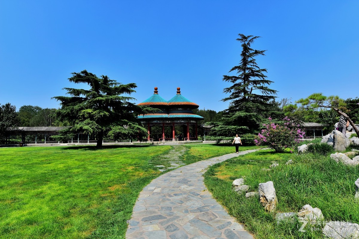 “七夕”公园随拍