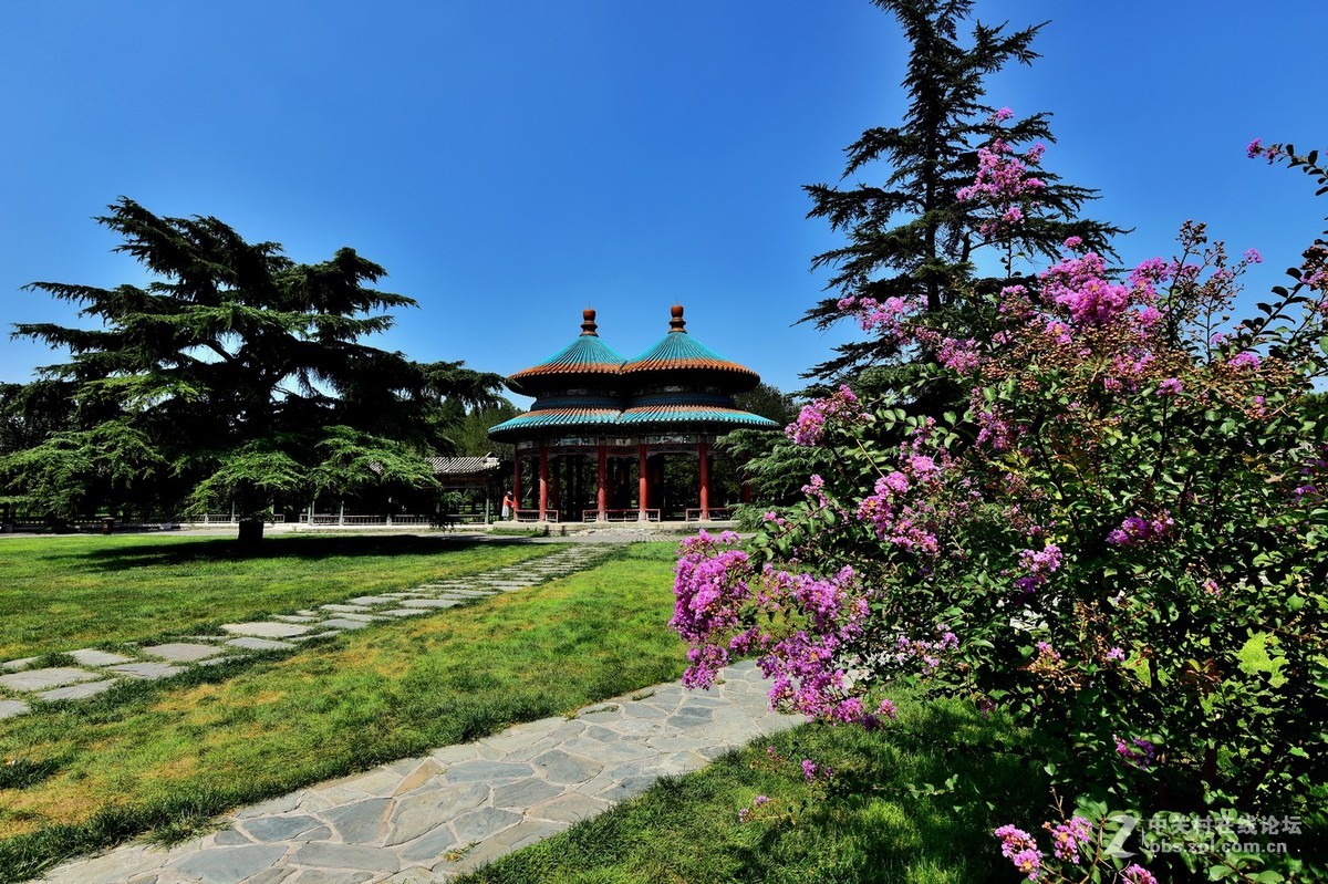 “七夕”公园随拍