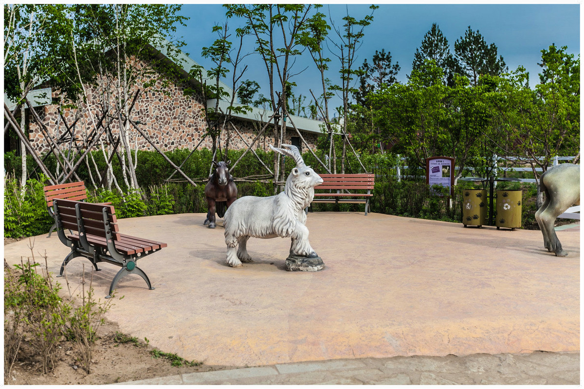 齊齊哈爾龍沙動植物園7