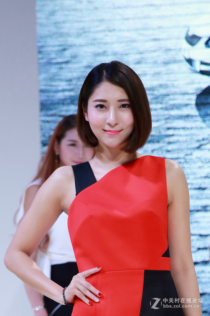 2016中原车展之美女车模