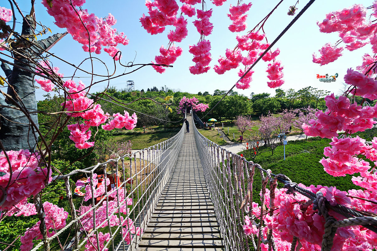 天适樱花悠乐园图片图片