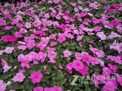摄影师的层级划分，你处于什么水平？
