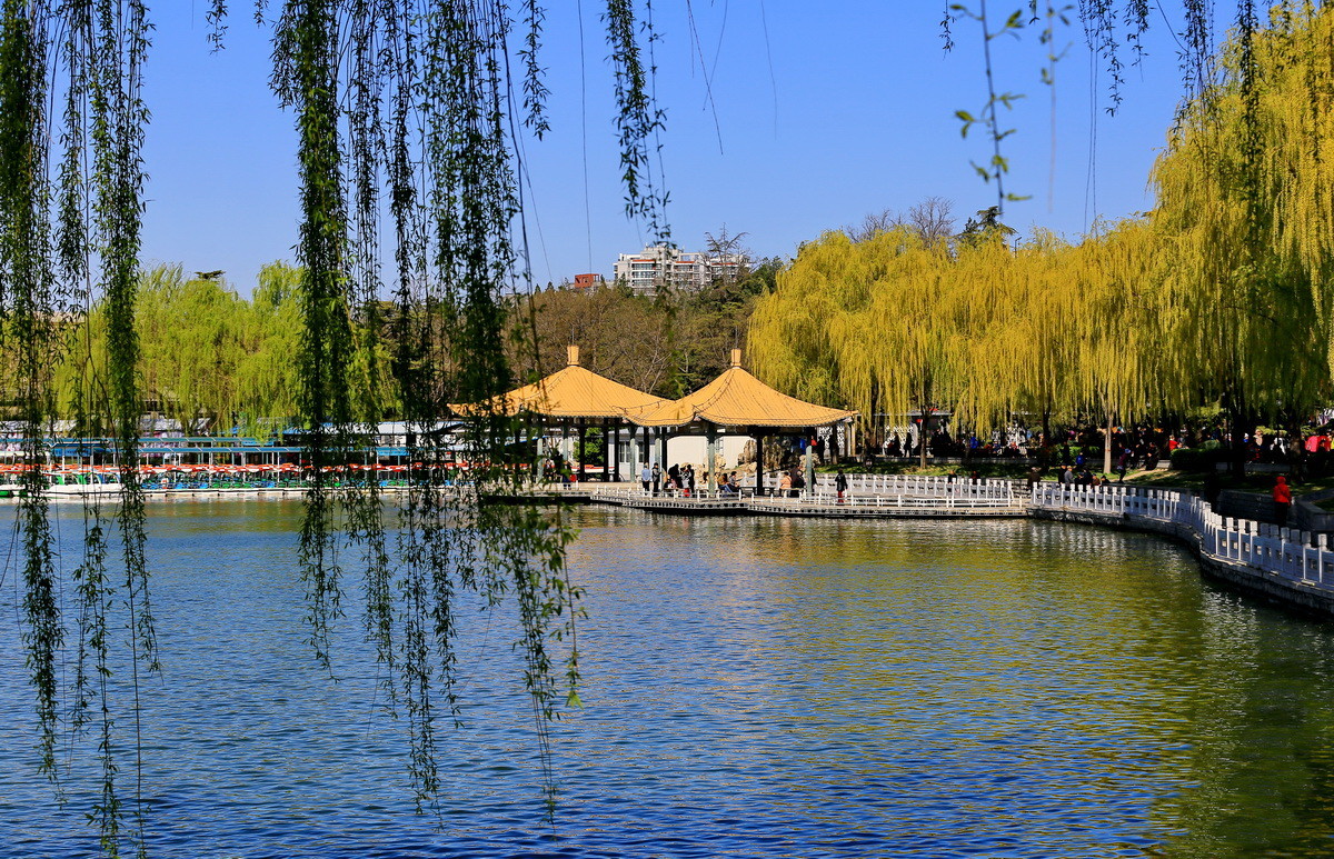 佳能月賽城市光影北京陶然亭公園