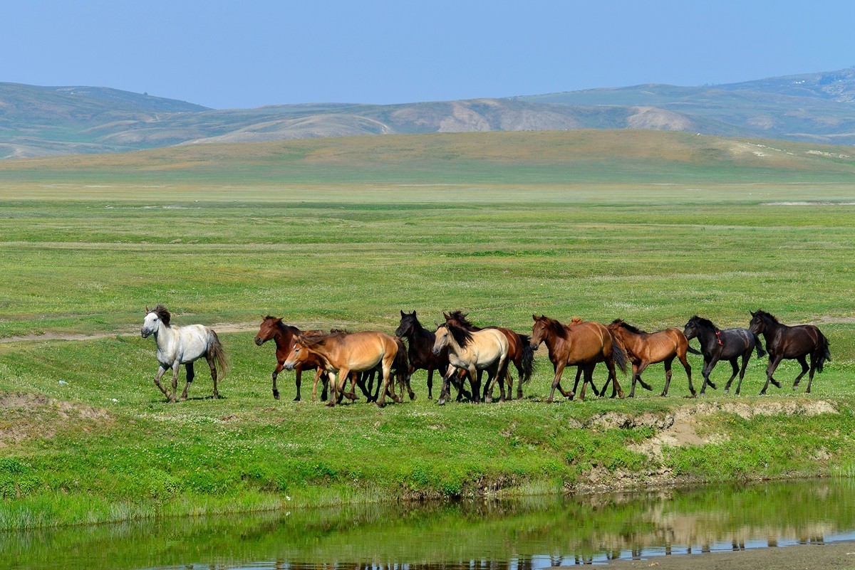 去禾木的途中（完）