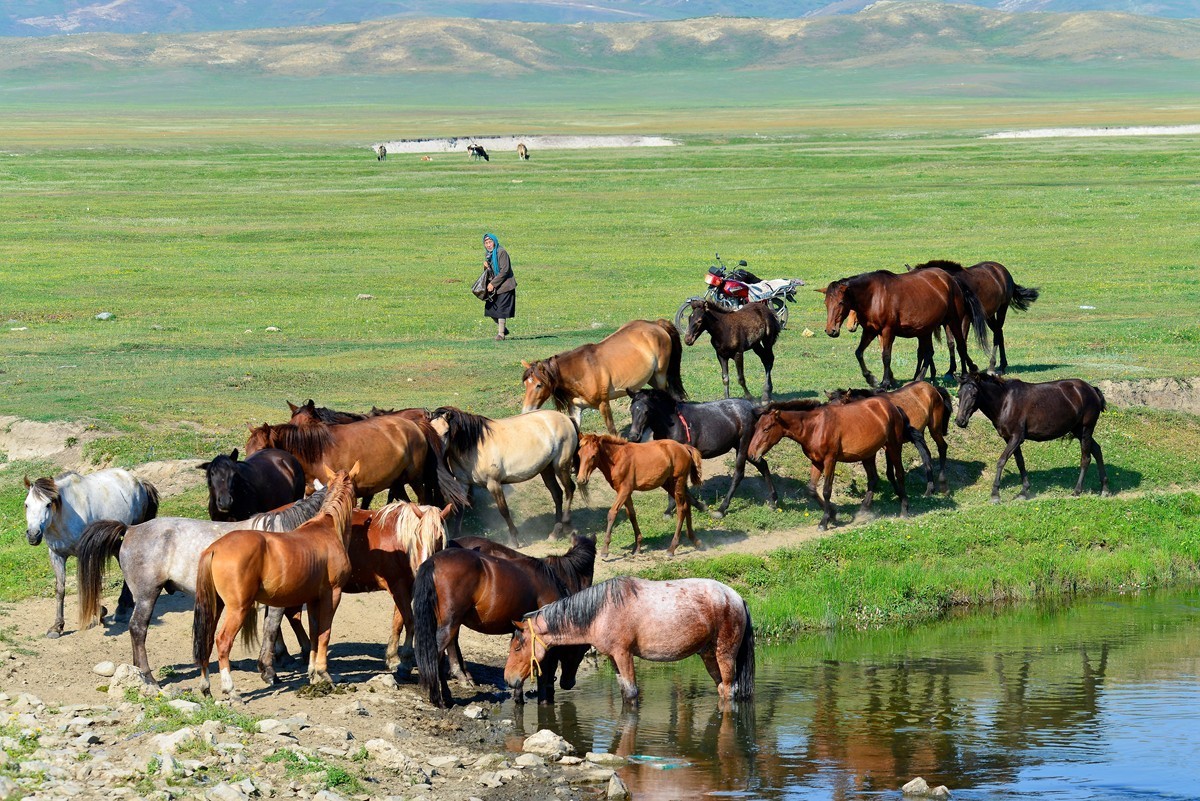 去禾木的途中（完）