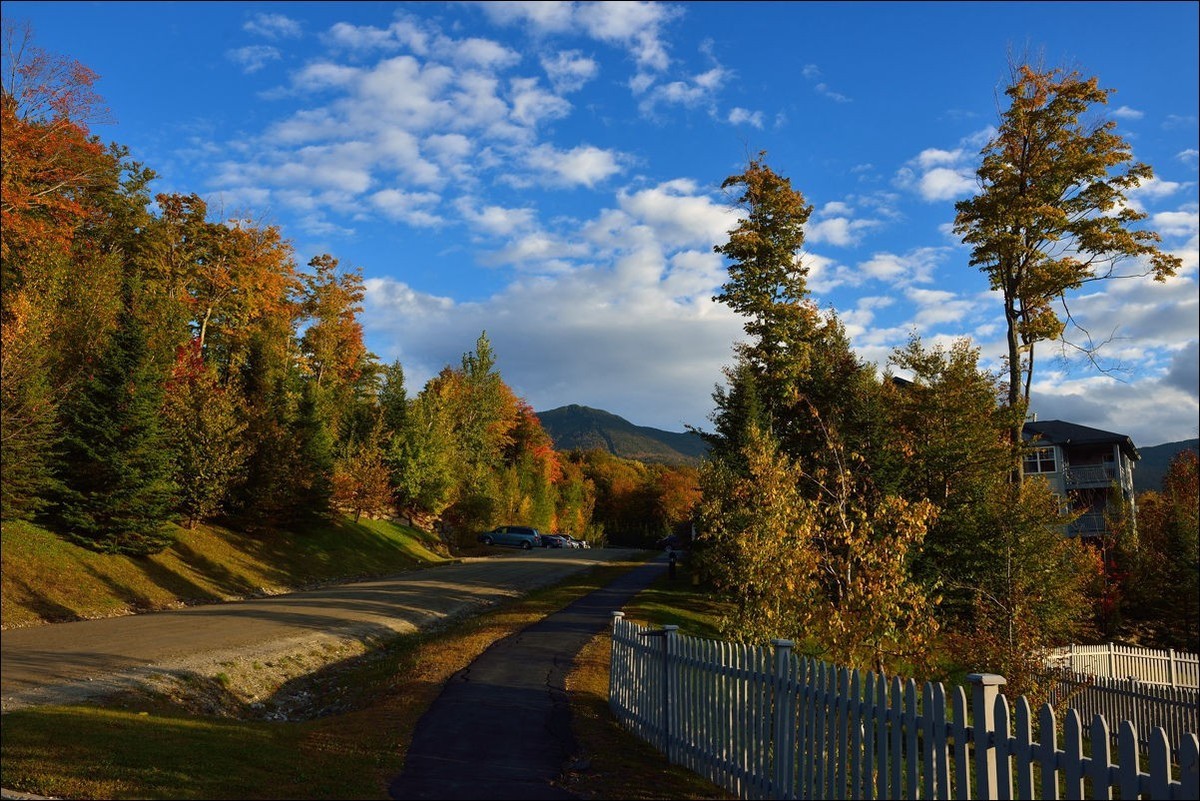 休闲随拍（375）