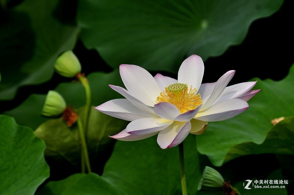 #版主坐堂#小五星空(中国)2018年七月精品荟萃