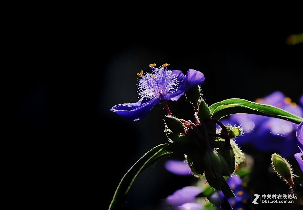 #版主坐堂#小五星空(中国)2018年七月精品荟萃