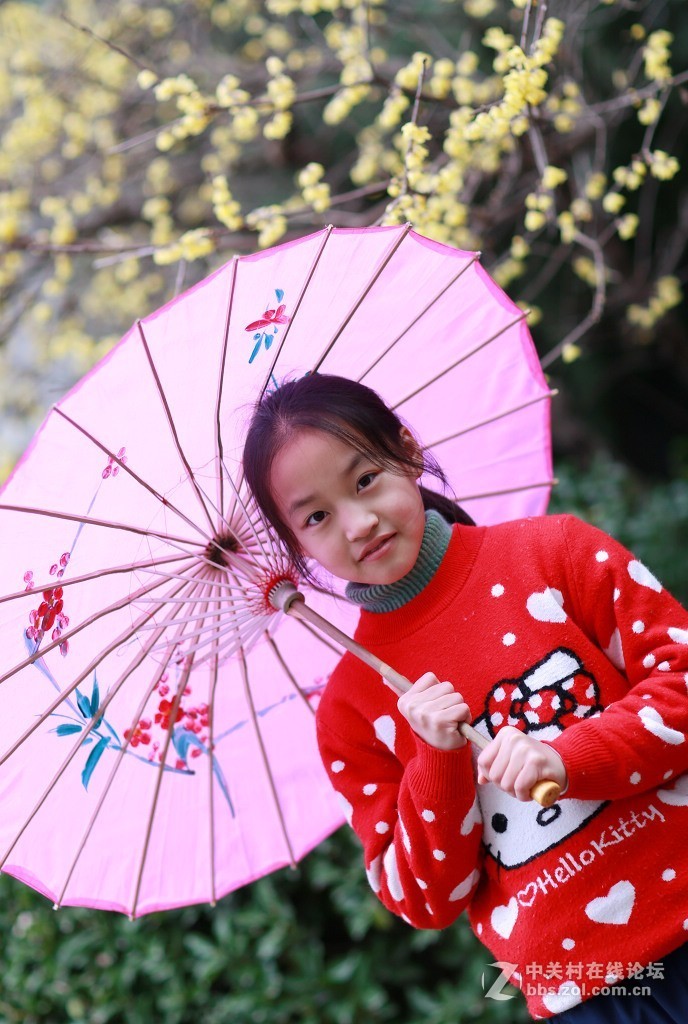 腊梅花下的小女孩