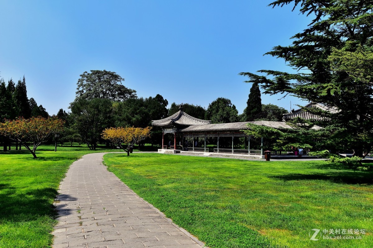 “七夕”公园随拍