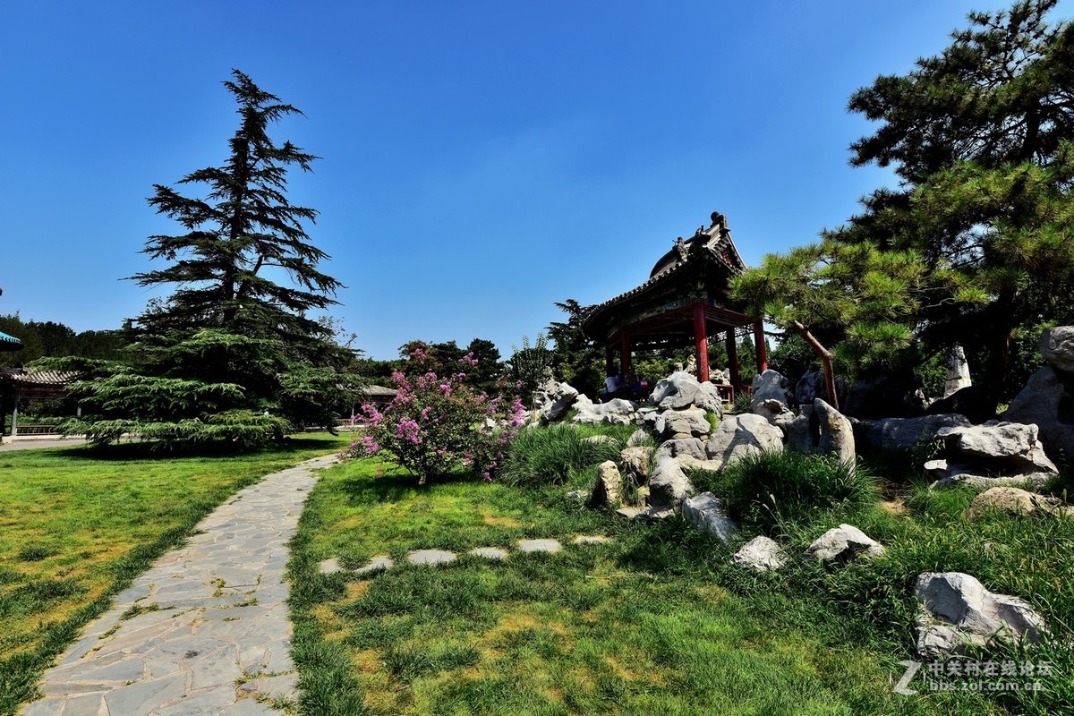 “七夕”公园随拍