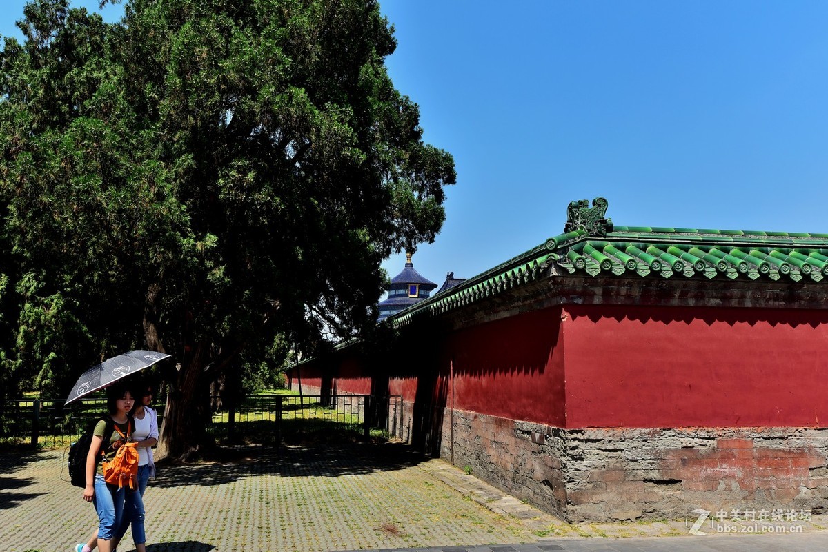 “七夕”公园随拍