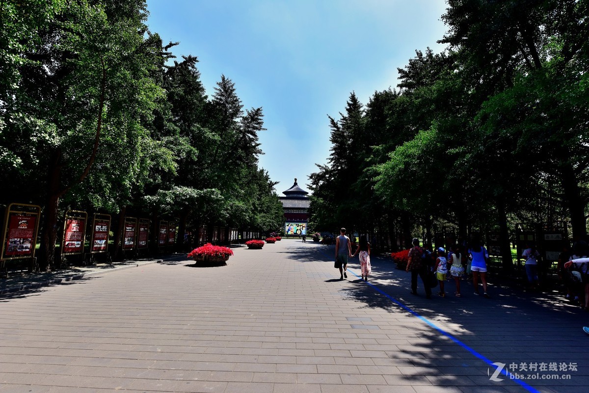 “七夕”公园随拍