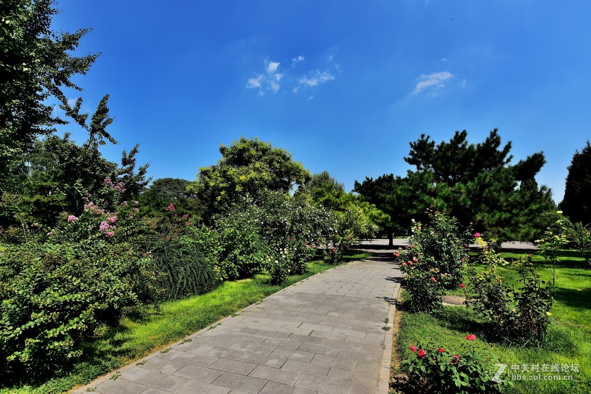 “七夕”公园随拍