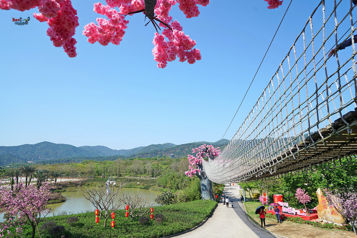 天适樱花悠乐园图片图片